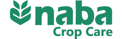 Nabil Group